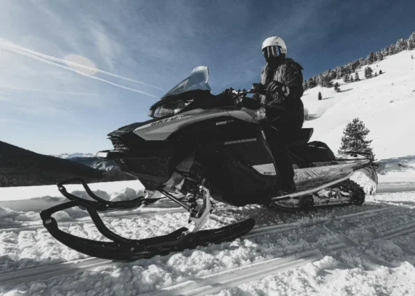 Lái Xe Trượt Tuyết (Snowmobile)