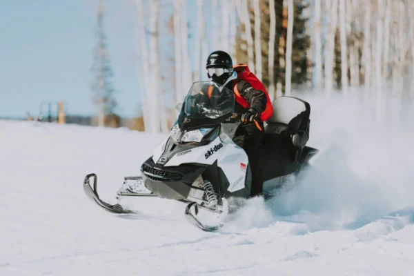 Lái Xe Trượt Tuyết (Snowmobile)