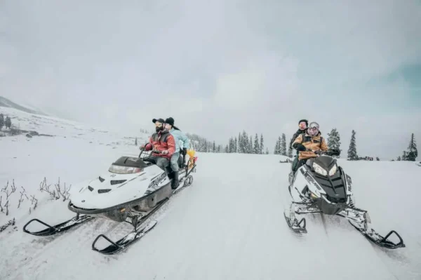 Lái Xe Trượt Tuyết (Snowmobile)