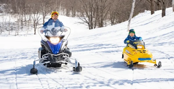 Lái Xe Trượt Tuyết (Snowmobile)