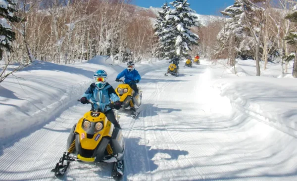 Lái Xe Trượt Tuyết (Snowmobile)