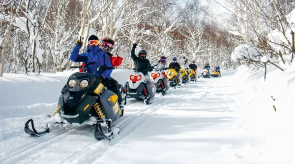 Lái Xe Trượt Tuyết (Snowmobile)