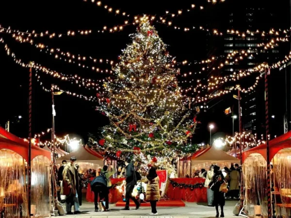 Tokyo Christmas Market