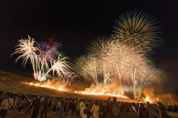 Lễ hội lửa Wakakusa Yamayaki