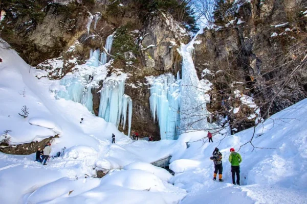 7 Cung đường đi bộ (Snowshoeing) đẹp nhất mùa đông Nhật Bản