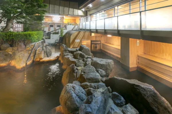 Kyoto Katsura Onsen (Nishikyo-ku)