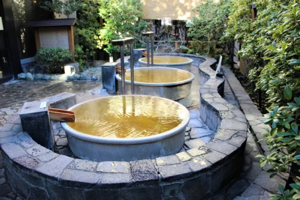 Maenoyama Onsen Sayano Yudokoro (Itabashi)