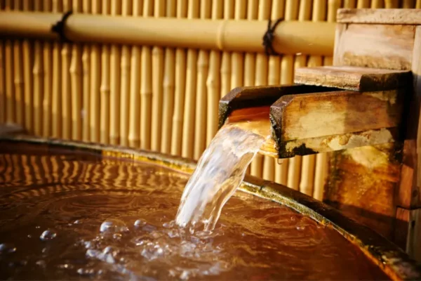 Musashi Koyama Onsen Shimizu-yu (Shinagawa)