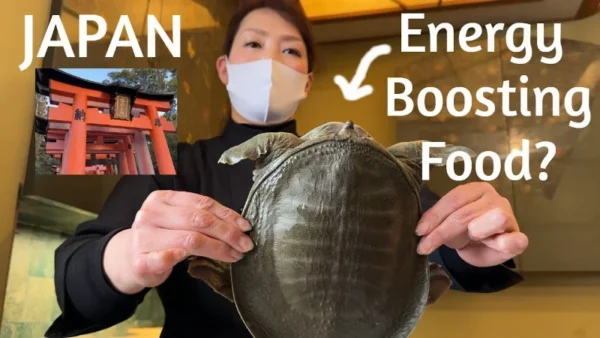 Suppon: Vị Thuốc Quý Trong Ẩm Thực Nhật Bản