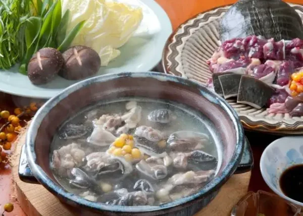 Suppon: Vị Thuốc Quý Trong Ẩm Thực Nhật Bản Suppon: Vị Thuốc Quý Trong Ẩm Thực Nhật Bản