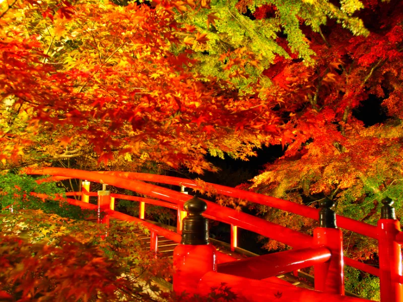 Ikaho Onsen Mùa Đông: Vũ Điệu Của Những Dòng Suối Khoáng Vàng Óng Ikaho Onsen Mùa Đông: Vũ Điệu Của Những Dòng Suối Khoáng Vàng Óng