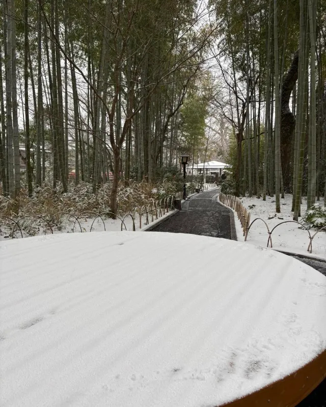 Shuzenji Onsen Mùa Đông: Bản Tình Ca Tĩnh Lặng Bên Dòng Katsura