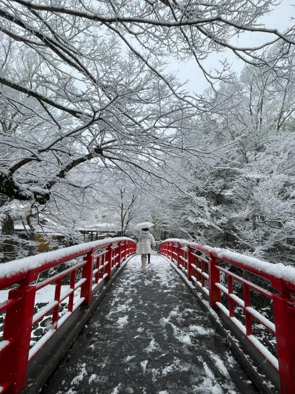 Shuzenji Onsen Mùa Đông: Bản Tình Ca Tĩnh Lặng Bên Dòng Katsura