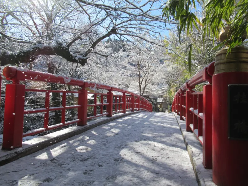 Shuzenji Onsen Mùa Đông: Bản Tình Ca Tĩnh Lặng Bên Dòng Katsura