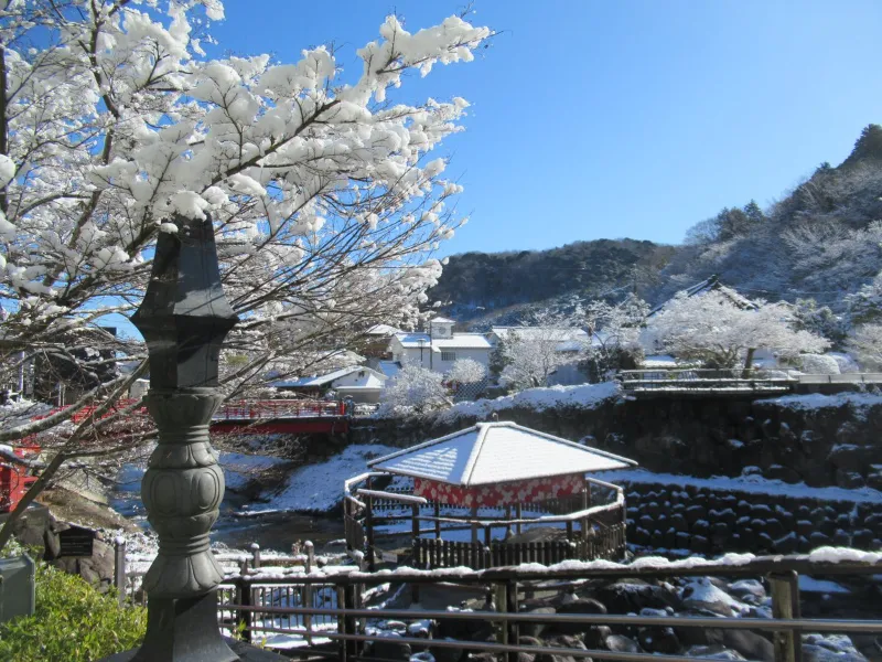 Shuzenji Onsen Mùa Đông: Bản Tình Ca Tĩnh Lặng Bên Dòng Katsura