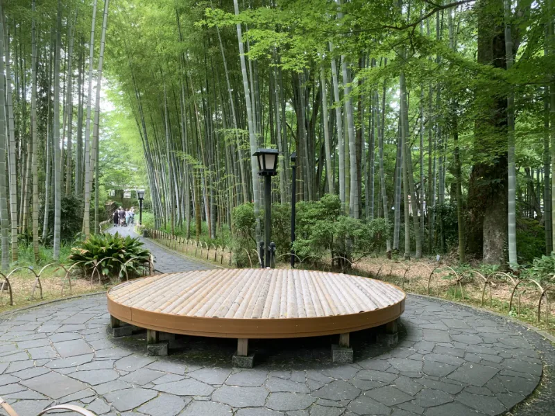 Shuzenji Onsen Mùa Đông: Bản Tình Ca Tĩnh Lặng Bên Dòng Katsura