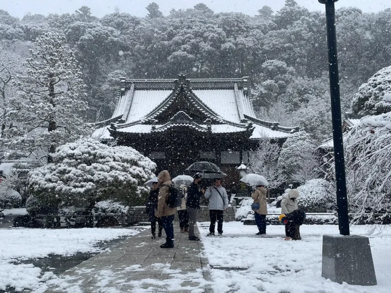 Shuzenji Onsen Mùa Đông: Bản Tình Ca Tĩnh Lặng Bên Dòng Katsura