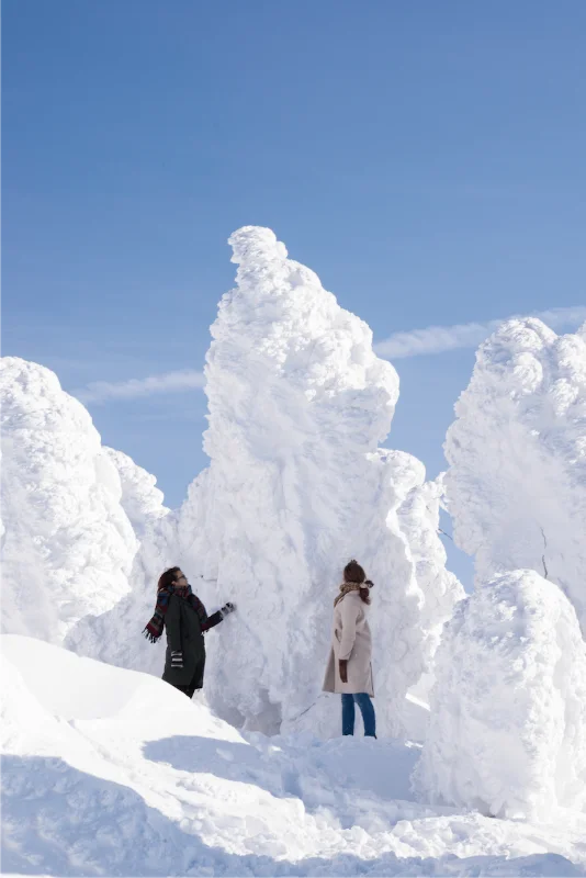 Zao Onsen Mùa Đông: Vương Quốc Quái Vật Tuyết Độc Đáo