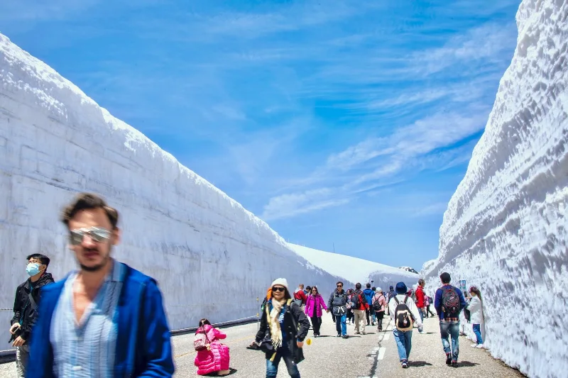 Cẩm nang sống sót qua Golden Week 2026