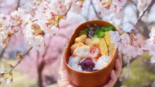 Review hộp cơm Hanami Bento lộng lẫy tại Tokyo