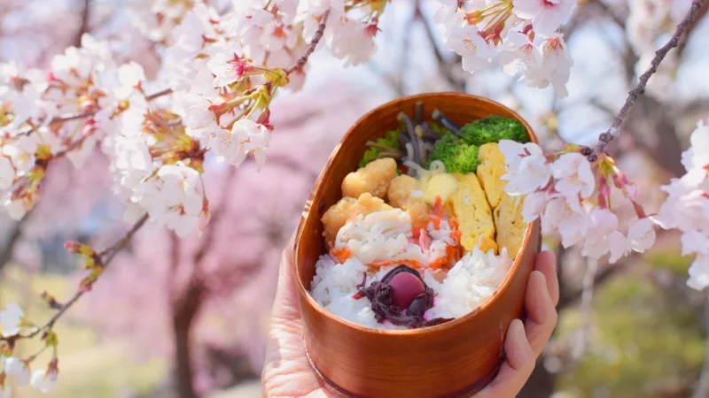 Review hộp cơm Hanami Bento lộng lẫy tại Tokyo Review hộp cơm Hanami Bento lộng lẫy tại Tokyo