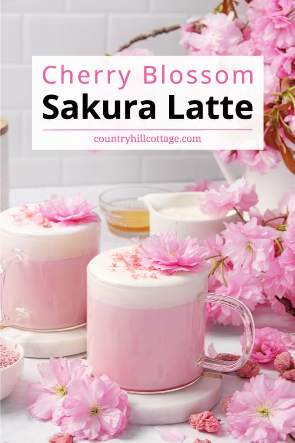 Sakura Latte - Trà sữa hoa anh đào Nhật Bản