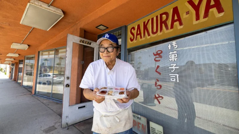 Sakura Manju