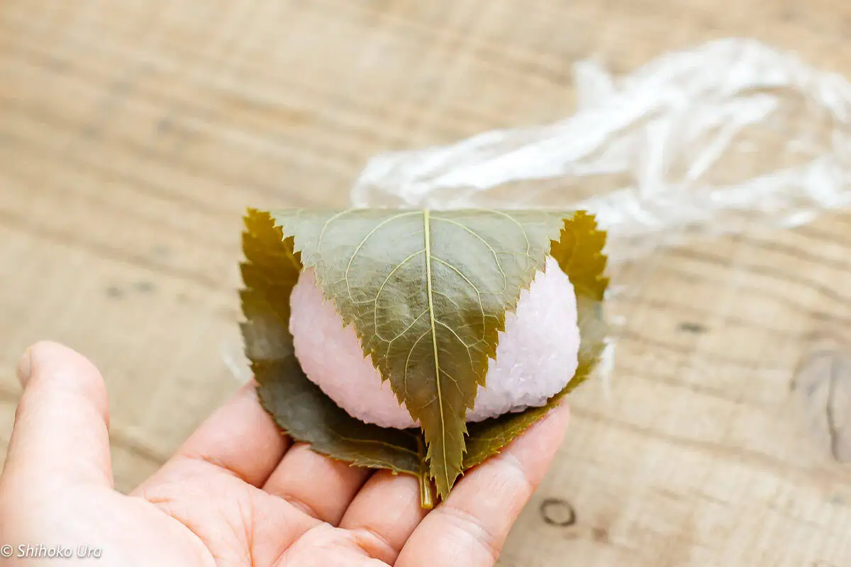 Sakura Mochi: Hương vị mùa xuân gói trọn trong lá anh đào