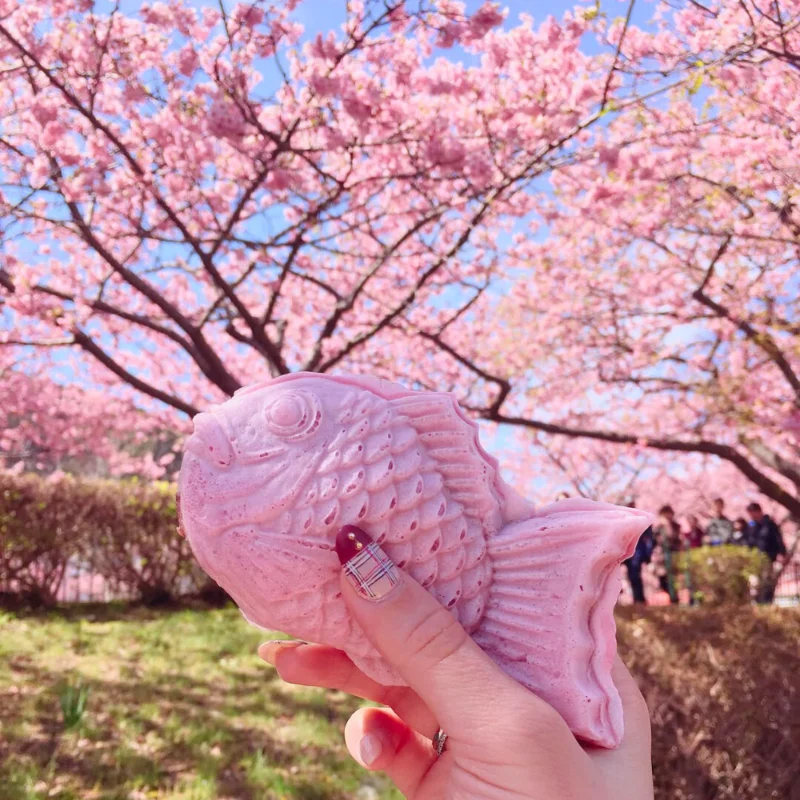 Sakura Taiyaki: Khi chú cá truyền thống khoác áo hồng xuân