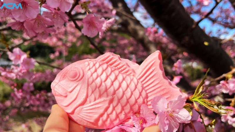 Sakura Taiyaki: Khi chú cá truyền thống khoác áo hồng xuân