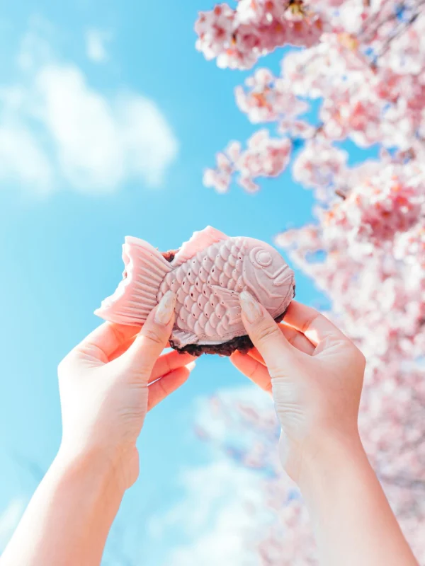 Sakura Taiyaki: Khi chú cá truyền thống khoác áo hồng xuân
