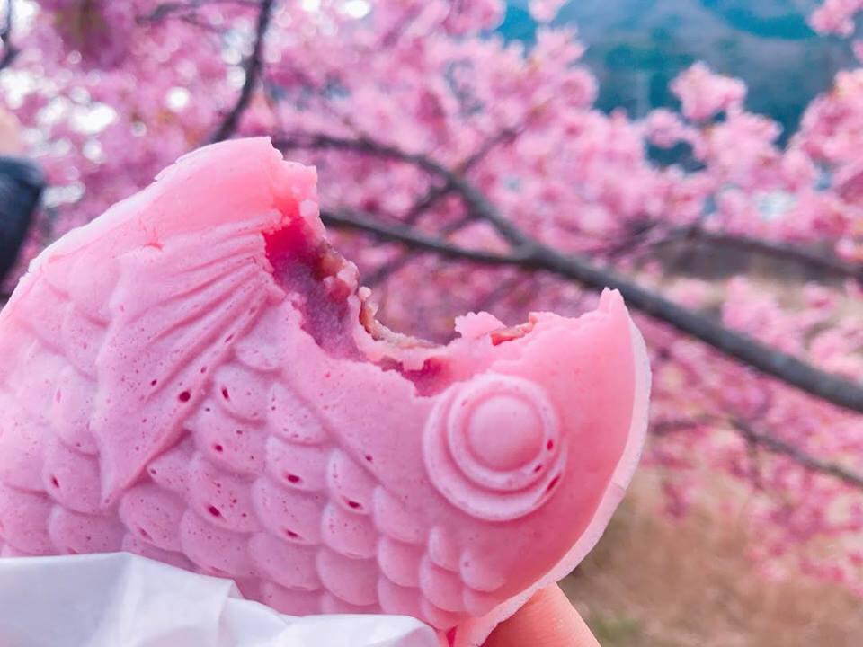 Sakura Taiyaki: Khi chú cá truyền thống khoác áo hồng xuân