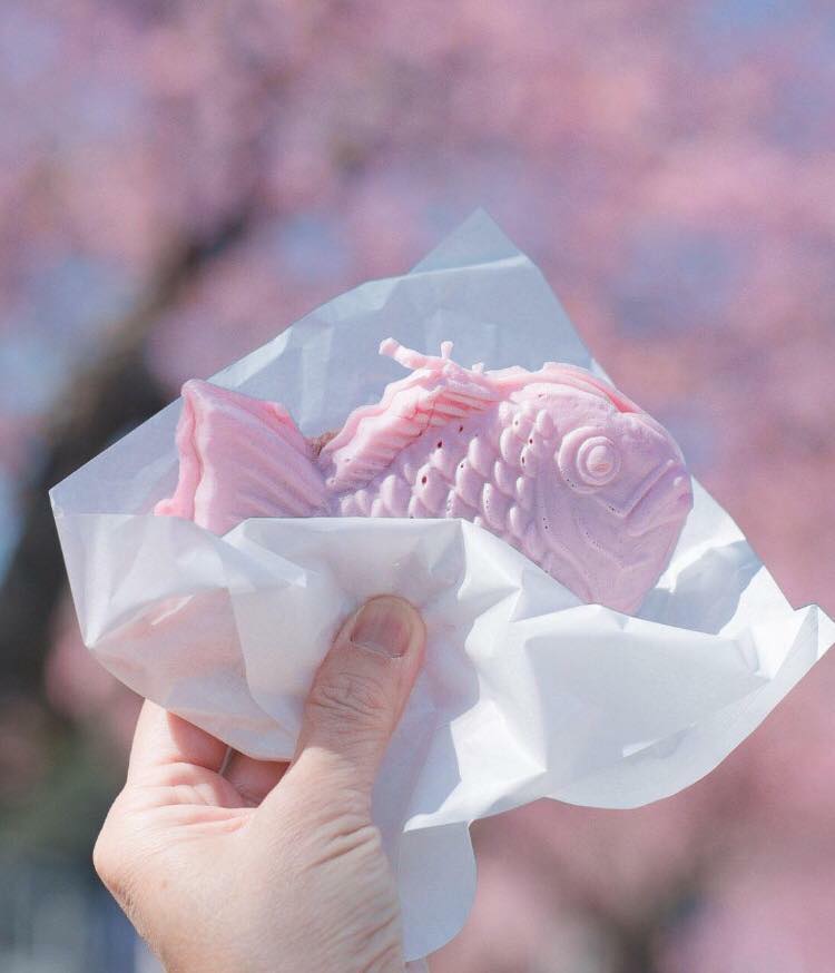 Sakura Taiyaki: Khi chú cá truyền thống khoác áo hồng xuân