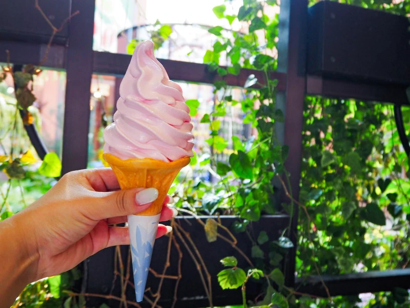 Kem Sakura - Sakura Ice Cream
