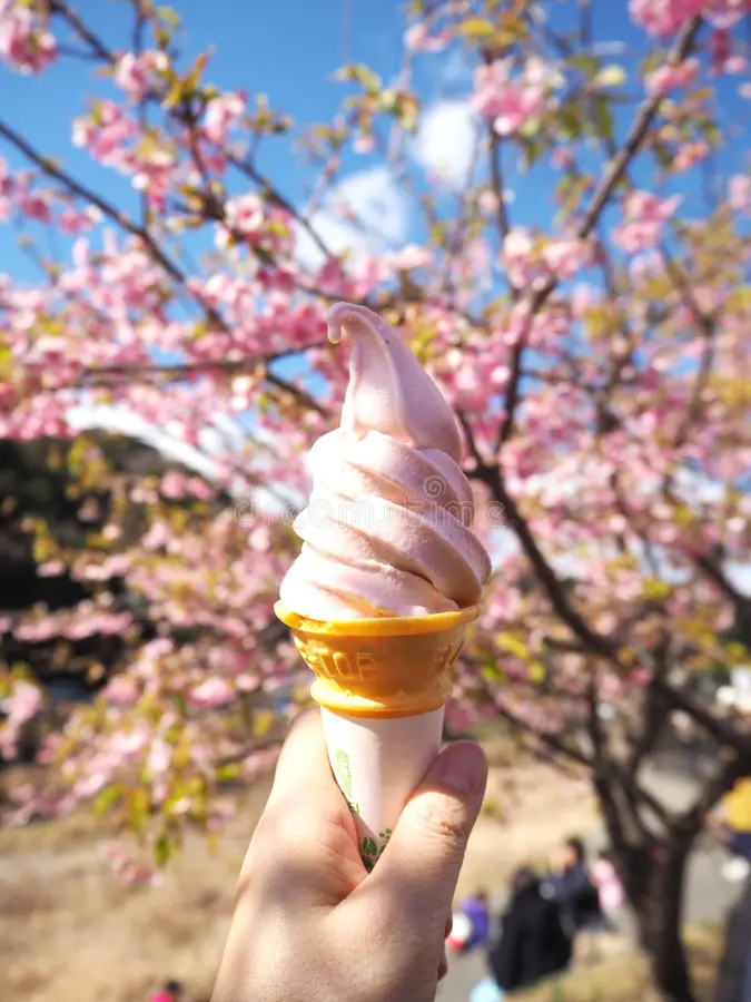 Kem Sakura - Sakura Ice Cream