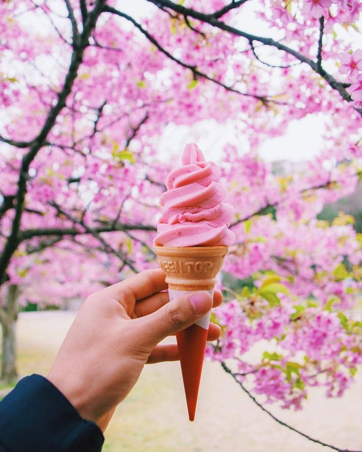 Kem Sakura - Sakura Ice Cream