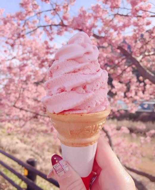 Kem Sakura - Sakura Ice Cream