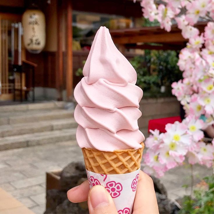 Kem Sakura - Sakura Ice Cream