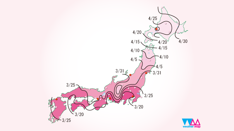 Tất tần tật về lịch nở hoa anh đào tại Nhật 2026 Tất tần tật về lịch nở hoa anh đào tại Nhật 2026