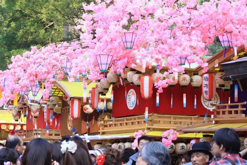 Yayoi Matsuri: Khám phá lễ hội "Cãi vã" rực rỡ sắc hồng tại Nikko