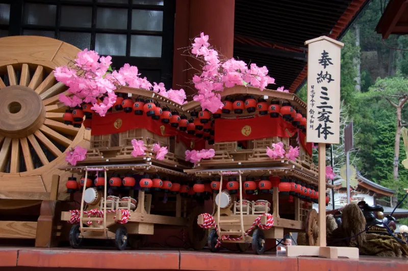 Yayoi Matsuri: Khám phá lễ hội "Cãi vã" rực rỡ sắc hồng tại Nikko