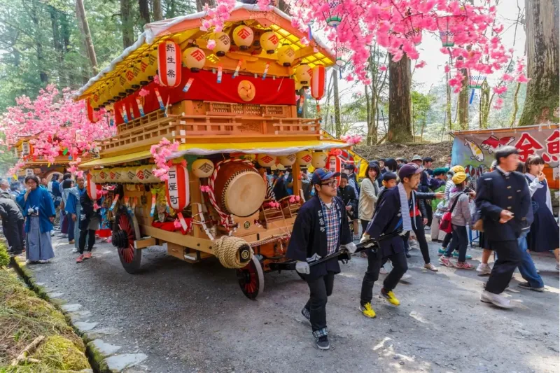 Yayoi Matsuri: Khám phá lễ hội "Cãi vã" rực rỡ sắc hồng tại Nikko