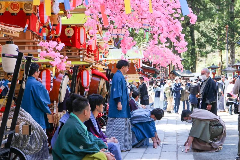 Yayoi Matsuri: Khám phá lễ hội "Cãi vã" rực rỡ sắc hồng tại Nikko