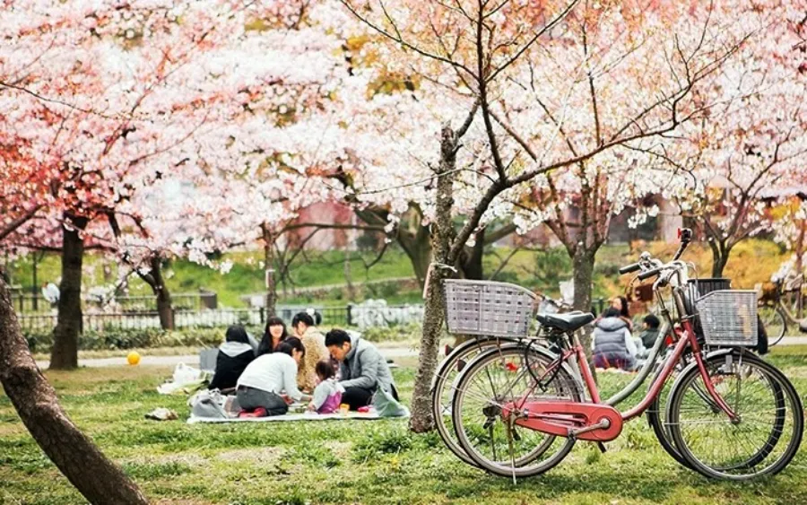 Hanami Dango