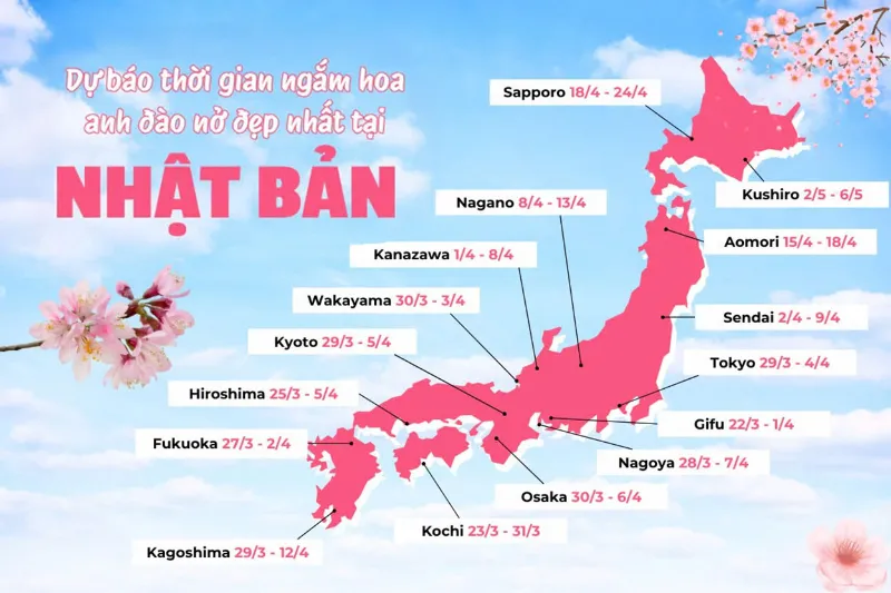 Tất tần tật về lịch nở hoa anh đào tại Nhật 2026 Tất tần tật về lịch nở hoa anh đào tại Nhật 2026