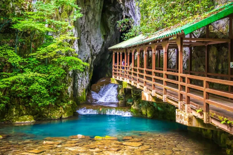 Akiyoshido Cave - Nhật Bản