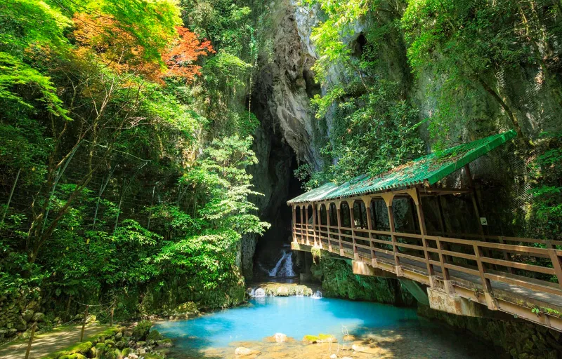 Akiyoshido Cave - Nhật Bản