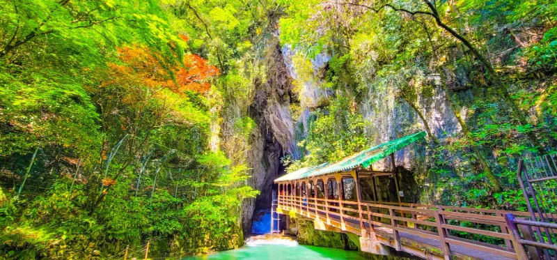 Akiyoshido Cave - Nhật Bản
