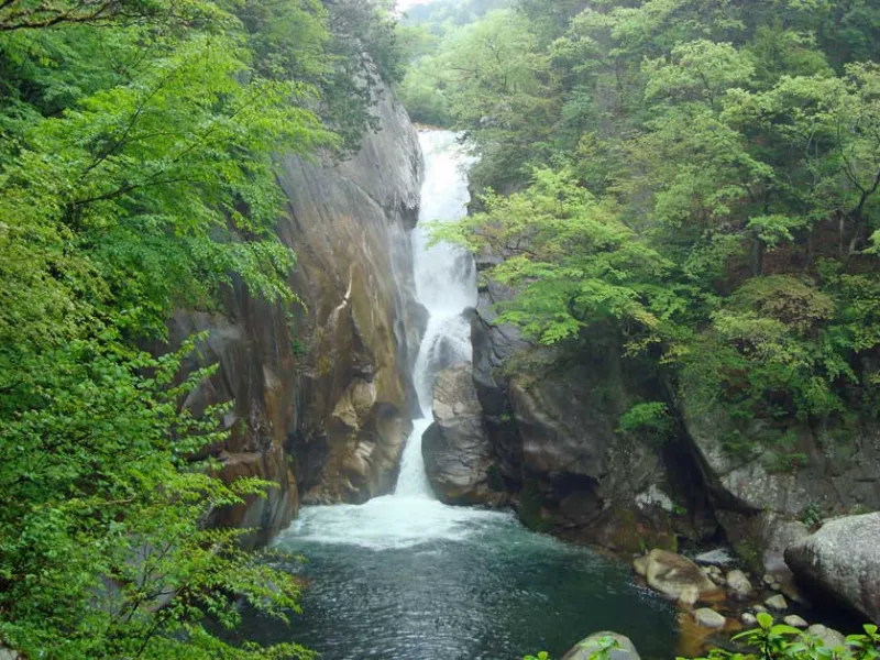 Shosenkyo Gorge: Hành Trình Khám Phá thung lũng đẹp nhất Nhật Bản Shosenkyo Gorge: Hành Trình Khám Phá thung lũng đẹp nhất Nhật Bản