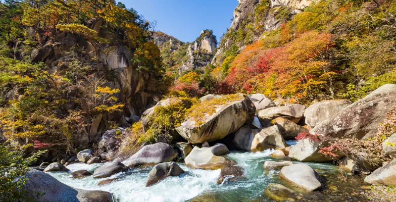 Shosenkyo Gorge: Hành Trình Khám Phá thung lũng đẹp nhất Nhật Bản Shosenkyo Gorge: Hành Trình Khám Phá thung lũng đẹp nhất Nhật Bản